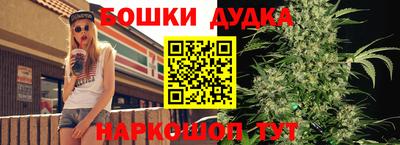 PSILOCYBIN Будённовск