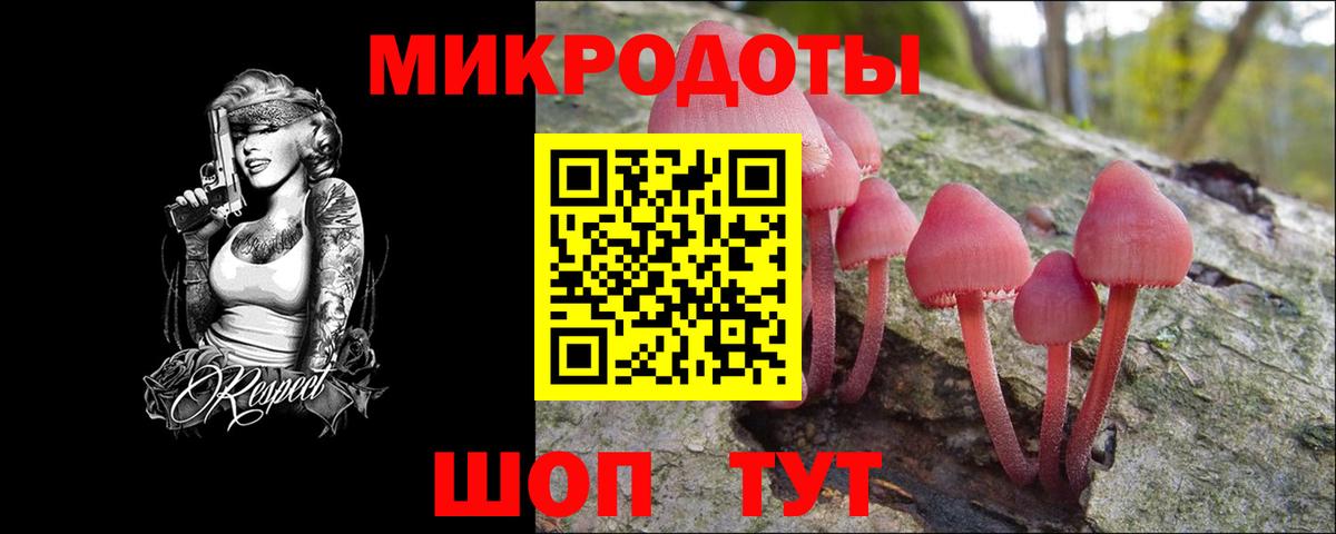 Галлюциногенные грибы GOLDEN TEACHER Кызыл
