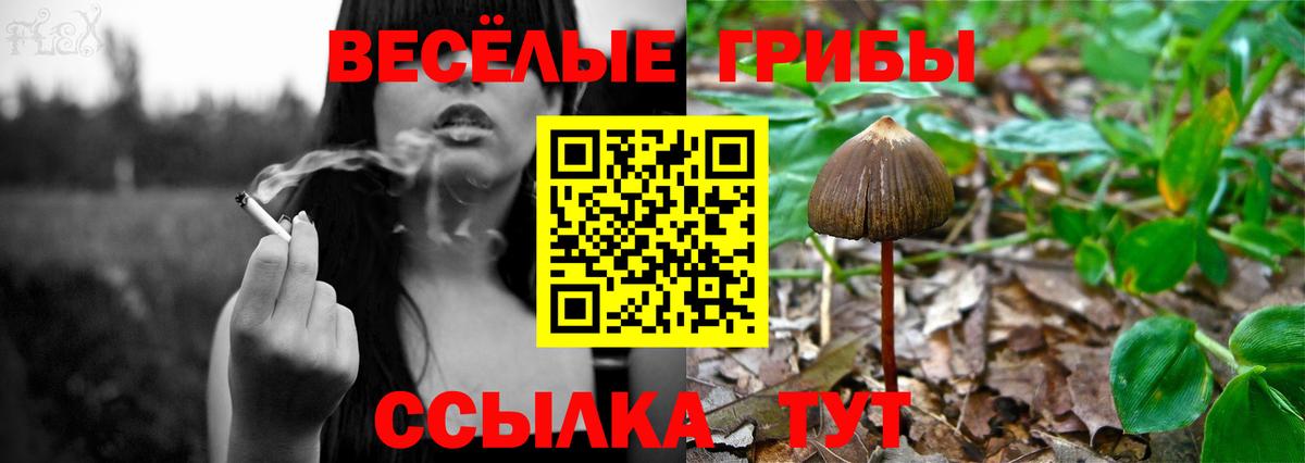 Галлюциногенные грибы MAGIC MUSHROOMS  Вход с VPN  Кызыл 